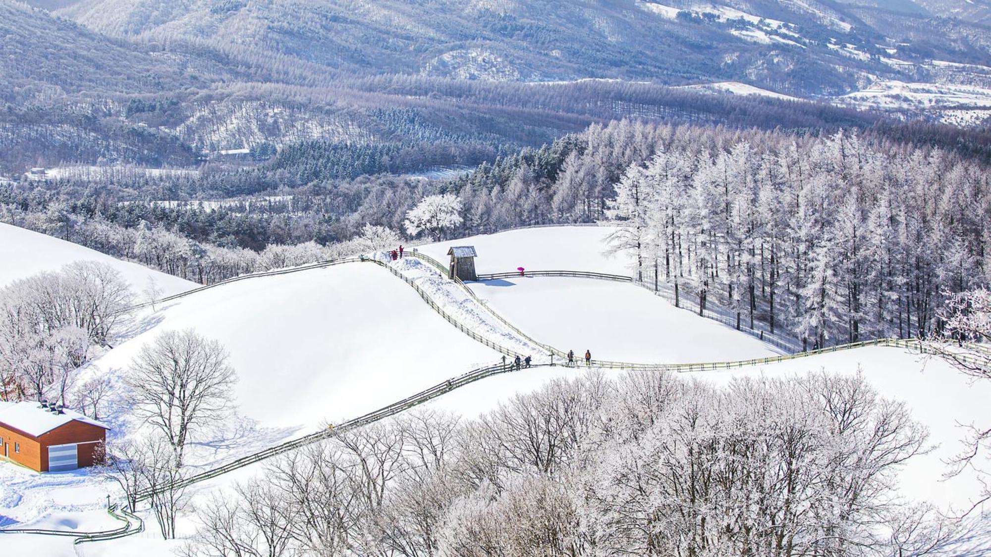 Holiday Inn Resort Alpensia Pyeongchang By Ihg Экстерьер фото
